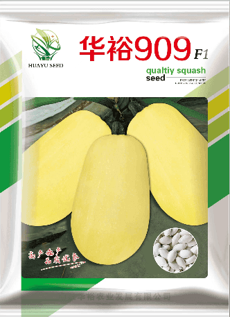 華裕909（雜交一代）